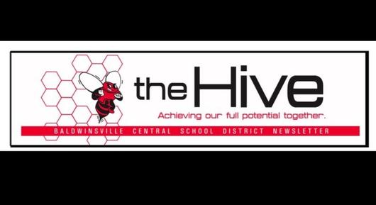 2023-2024 Budget Newsletter edition of the Hive is available now